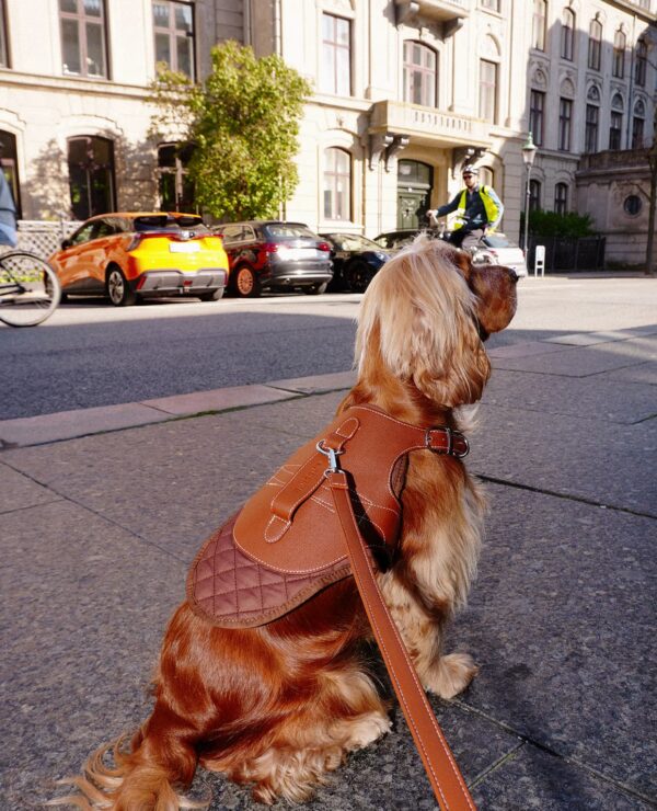 Noir Edition Sele - Billede 7