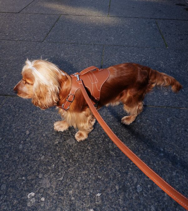 Noir Edition Sele - Billede 8