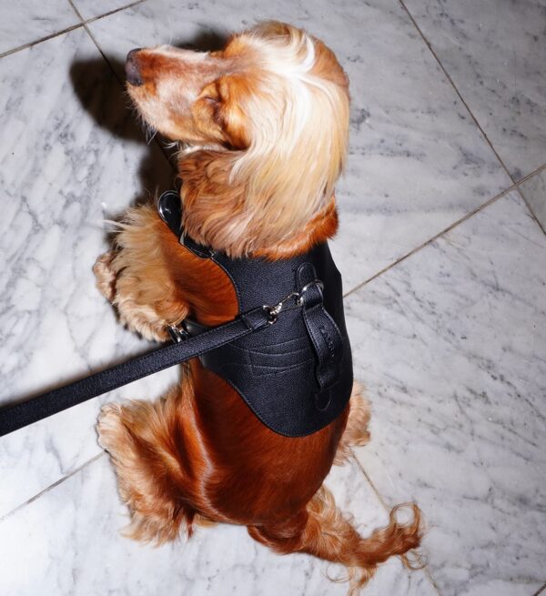 Noir Edition Sele - Billede 12