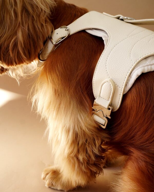 Noir Edition Sele - Billede 4